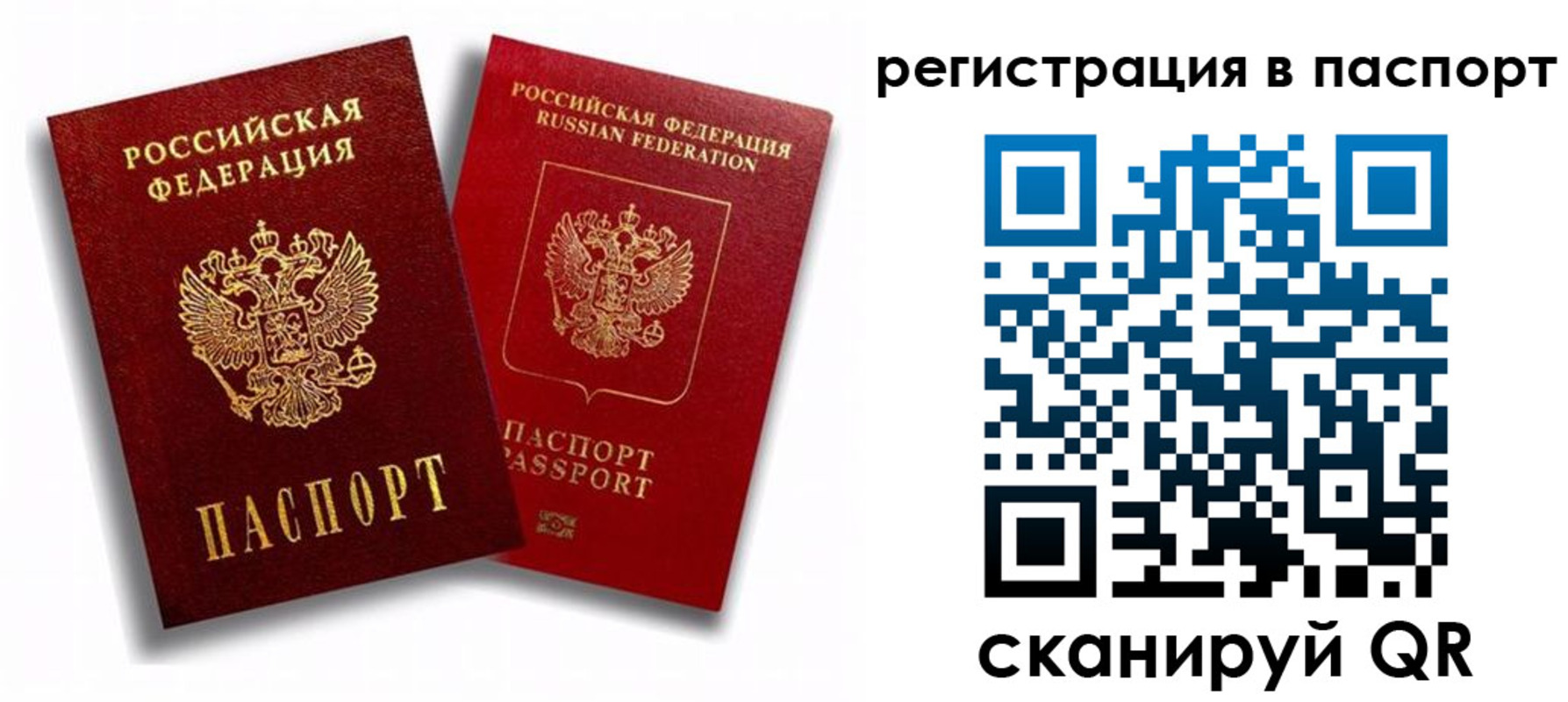 прописка 2025 в Фрязино